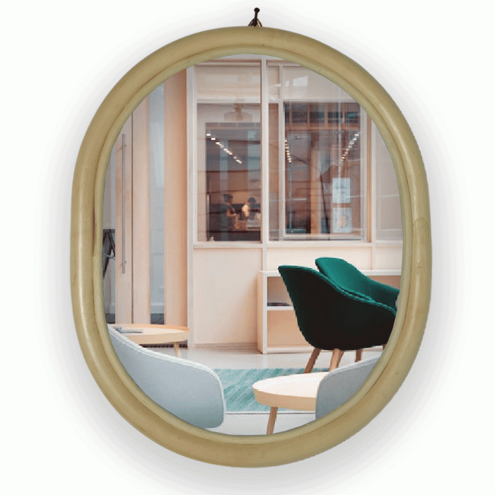 ORCA MIRROR - SMALL